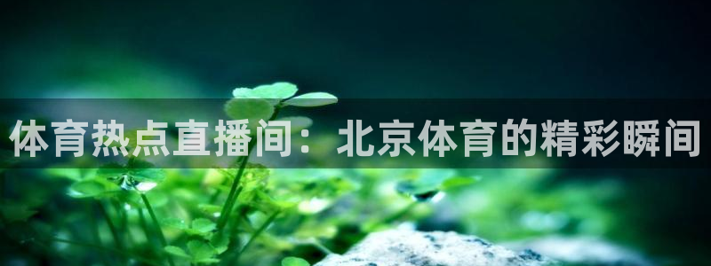 833足球比赛直播高清：体育热点直播间：北京体育的精彩瞬间
