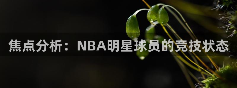 833足球直播免费直播：焦点分析：NBA明星球员的竞技状态