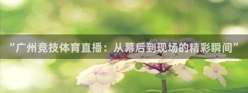 833直播：“广州竞技体育直播：从幕后到现场的精彩瞬间”