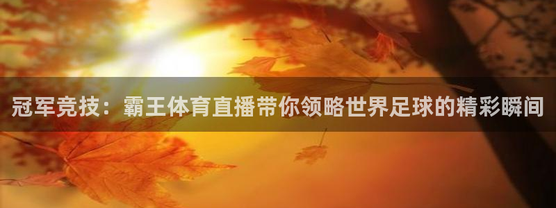 833比赛直播观看：冠军竞技：霸王体育直播带你领略世界足球的精彩瞬间